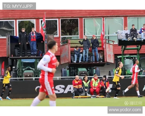 足球明星因火灾事件引发热议究竟是谁烧了房子背后的真相揭秘